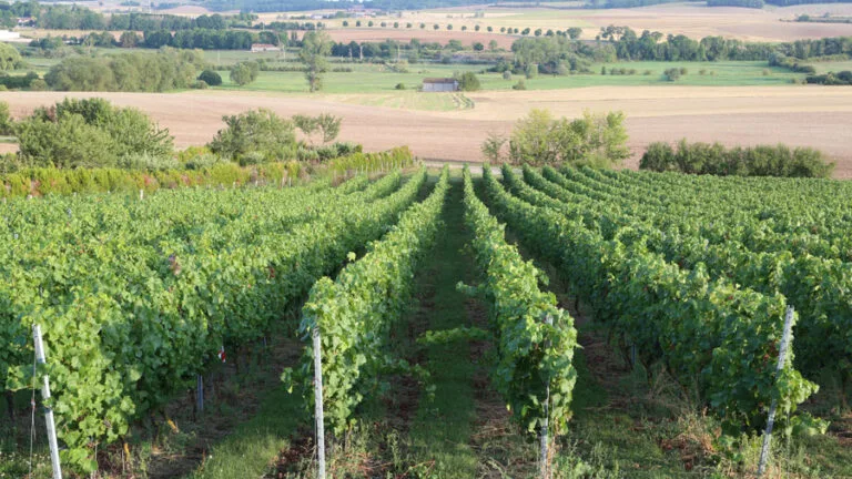 243-france-pays-du-saulnois-1