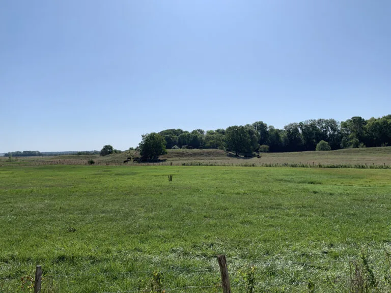 75-france-pays-du-saulnois-2
